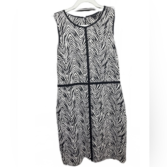 Ann Taylor Black & White Zebra Striped Knit Dress Size 8 - Picture 1 of 7